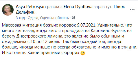 В национальном парке на Одесчине погибли почти 2 млн божьих коровок: Им не повезло. Это природа и круговорот в биосфере 09