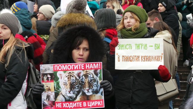Страждання - це НЕ смішно! У Києві протестували проти використання тварин у цирку 08