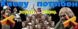 Києву потрібен розумний виборець