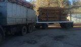 ДФС упродовж місяця оприлюднить прізвища тих, хто здійснював контрабанду лісу, - Гройсман