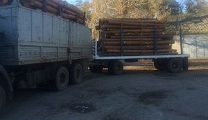 ДФС упродовж місяця оприлюднить прізвища тих, хто здійснював контрабанду лісу, - Гройсман