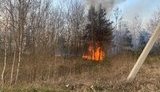 Кабмін пропонує підвищити до 6 тис. грн штрафи за підпал сухої трави, - Шмигаль