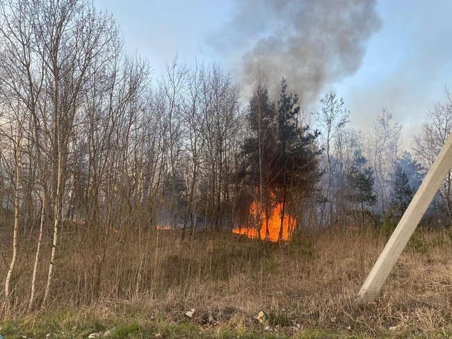 На Львівщині горить новояворівське сміттєзвалище 04