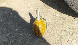 Пьяный мужчина угрожал взорвать гранатой полицейских на Днепропетровщине