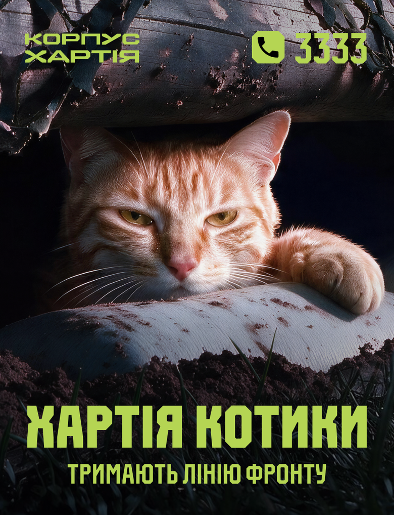 Хартия котики