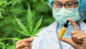 канабіс,медичний,каннабіс