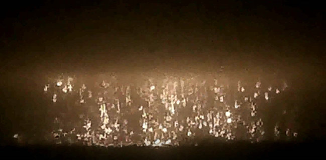 Бой 6-й роты 93-й бригады за Иверский монастырь глазами мехвода Алексея Зимина 07