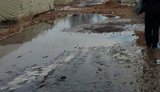 палатки полигон условия