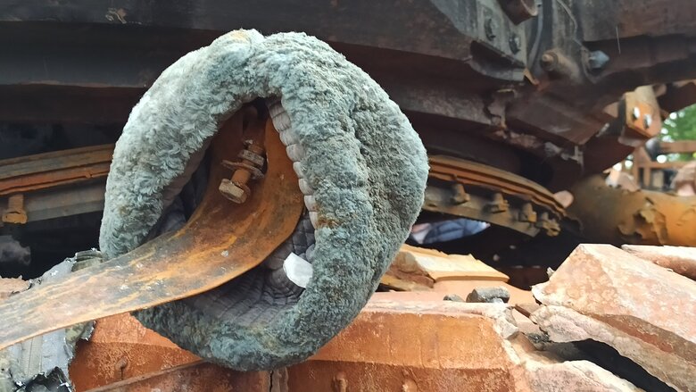 Танк, БМД та Тигр: В центрі Києва відкрилась виставка демілітаризованої техніки російських окупантів 28