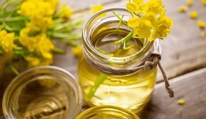 Україна збільшила внутрішню переробку ріпаку до 43% врожаю