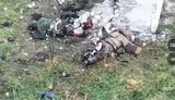Тіло знищеного російського штурмовика їдять тварини