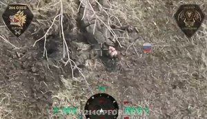 Ударні дрони 214-го ОШБ ліквідували дев’ять штурмовиків РФ - ніхто не втік. ВIДЕО
