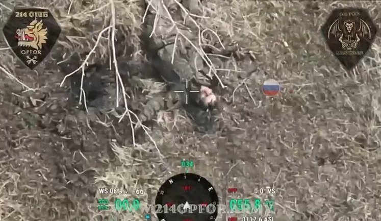 Ударні дрони 214-го ОШБ ліквідували дев’ять штурмовиків РФ - ніхто не втік. ВIДЕО