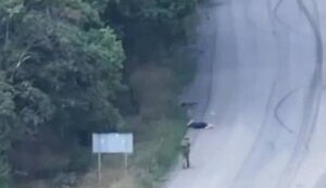 На Покровском направлении оккупант расстрелял мирного жителя - начато расследование военного преступления. ВИДЕО