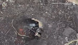 Пограничники "Стрикс" разгромили технику врага FPV-дронами на Южно-Слобожанском направлении. ВИДЕО