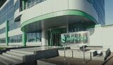 дарница