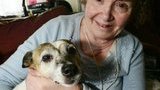 За спасение 72-летней хозяйки от огня наградили собаку. ФОТО