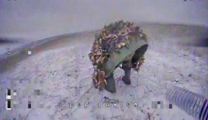 Росіянин підставив зад під удар українського дрона. ВIДЕО