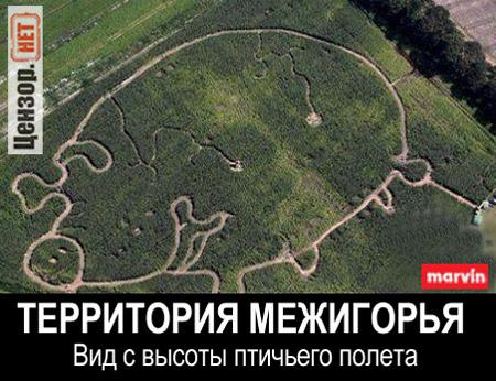 Межигорье. С высоты птичьего полета