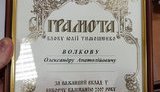 береза