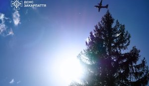 Ліквідовано масштабну лісову пожежу на Закарпатті: вогонь охопив понад 65 га. ФОТО
