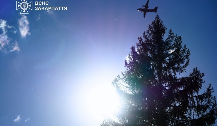 Ліквідовано масштабну лісову пожежу на Закарпатті: вогонь охопив понад 65 га. ФОТО