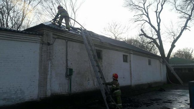 Ликвидирован пожар на территории киевского зоопарка, - ГСЧС 02