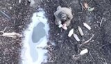 окупант