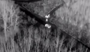 У Молдові затримали 11 таксистів, які могли незаконно вивезти з України до 400 чоловіків за $6–10 тисяч