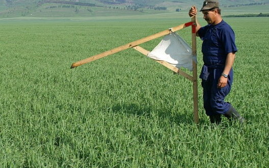 Строк для оформлення земельних паїв продовжили ще на три роки