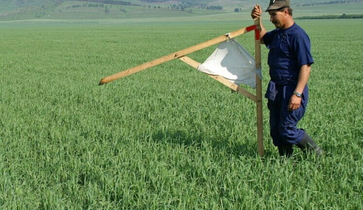 Зеленський дозволив продовжити строк для оформлення земельних паїв ще на три роки