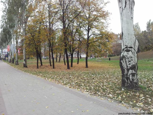 Цензор.НЕТ Изображение