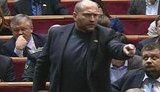 береза