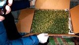В Николаеве двое мужчин незаконно хранили каннабис на сумму 200 тыс. грн, - Нацполиция. ФОТО