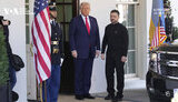 трамп,зеленський