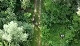 полонені