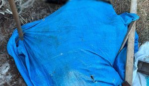 Через недбалість директора житомирського держпідприємства загинула худоба, збитки перевищили мільйон гривень, - поліція. ФОТО