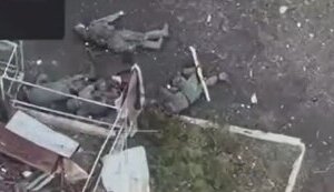 Оператор дрона-камикадзе одним ударом уничтожает четырех оккупантов. ВИДЕО