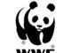 WWF не проводив технічну експертизу та не надавав жодних рекомендацій щодо будівництва вітроелектростанцій на Закарпатті
