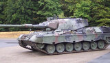 leopard1