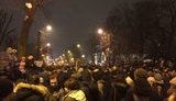 румыния протесты