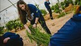 Фортеця, теплиці та сектор Газа: чого навчилися в Ізраїлі українські студенти