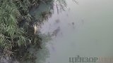 Річка Кальчик у Маріуполі стала молочного кольору з їдким запахом, спливла риба. ФОТОрепортаж
