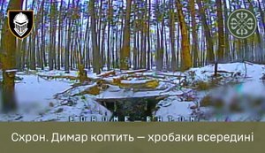 Оператори батальйону "Гатило" дронами уразили 5 укриттів ворога в тилу та "викурили" з них рашистів. ВIДЕО