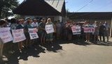 Жителі відразу трьох областей вимагають від "Гадячсир" розрахуватися за борги за молоко