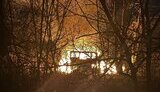 Drones attacked Poltava region on 10 February