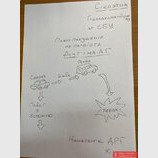 Подробиці