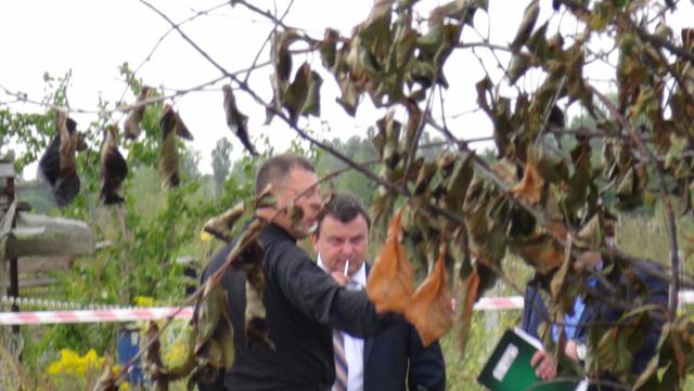 убийство киевщина