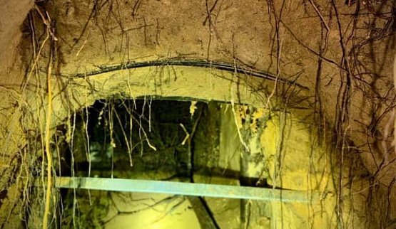 Польша обнаружила новый туннель под границей с Беларусью