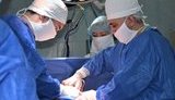 За полгода в Украине провели 126 трансплантаций. ИНФОГРАФИКА